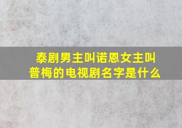 泰剧男主叫诺恩女主叫普梅的电视剧名字是什么