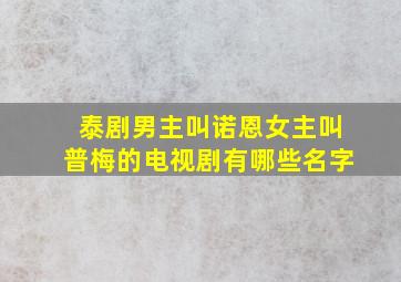 泰剧男主叫诺恩女主叫普梅的电视剧有哪些名字