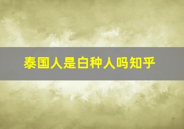 泰国人是白种人吗知乎