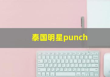 泰国明星punch