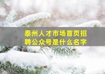 泰州人才市场首页招聘公众号是什么名字