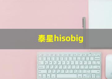 泰星hisobig