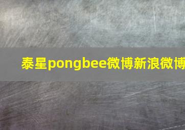 泰星pongbee微博新浪微博