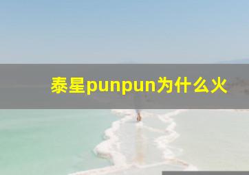 泰星punpun为什么火