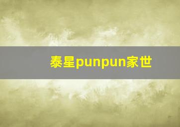 泰星punpun家世