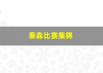 泰森比赛集锦