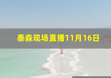 泰森现场直播11月16日