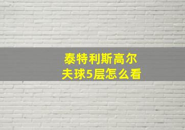 泰特利斯高尔夫球5层怎么看