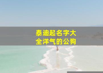 泰迪起名字大全洋气的公狗