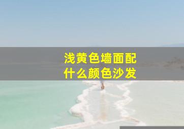 浅黄色墙面配什么颜色沙发