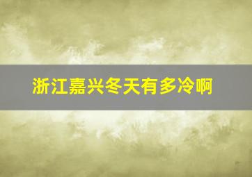 浙江嘉兴冬天有多冷啊