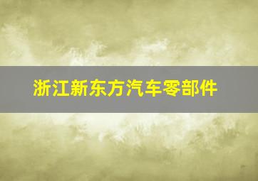 浙江新东方汽车零部件