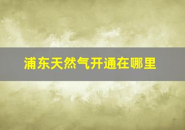 浦东天然气开通在哪里