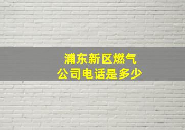 浦东新区燃气公司电话是多少