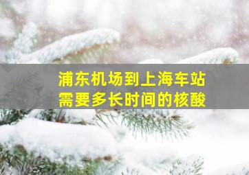 浦东机场到上海车站需要多长时间的核酸