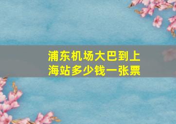 浦东机场大巴到上海站多少钱一张票