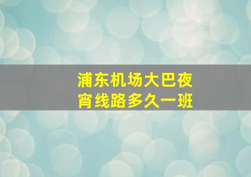 浦东机场大巴夜宵线路多久一班