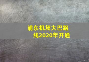 浦东机场大巴路线2020年开通