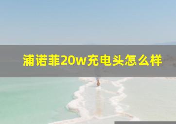 浦诺菲20w充电头怎么样