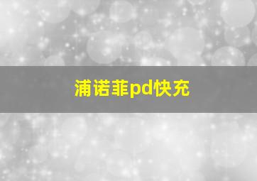 浦诺菲pd快充