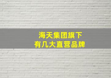 海天集团旗下有几大直营品牌