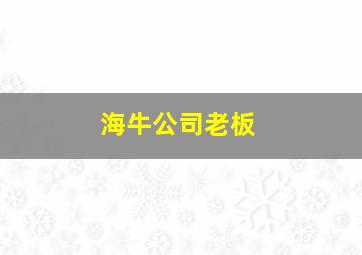 海牛公司老板