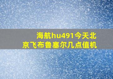 海航hu491今天北京飞布鲁塞尔几点值机