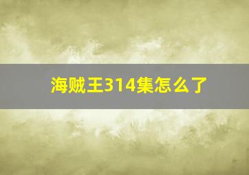 海贼王314集怎么了