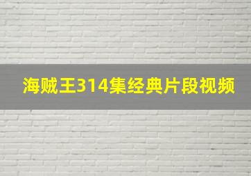 海贼王314集经典片段视频