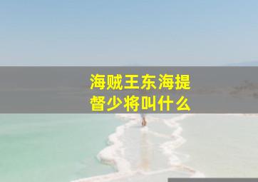 海贼王东海提督少将叫什么