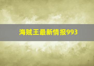 海贼王最新情报993