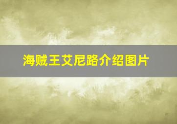 海贼王艾尼路介绍图片