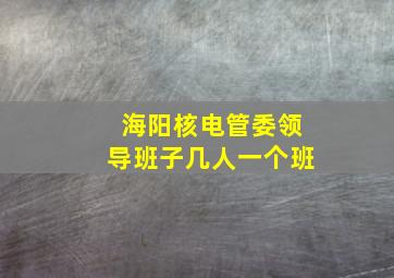 海阳核电管委领导班子几人一个班