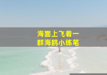 海面上飞着一群海鸥小练笔