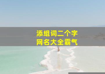 添组词二个字网名大全霸气