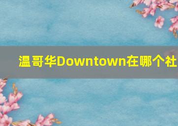 温哥华Downtown在哪个社区