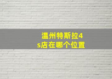 温州特斯拉4s店在哪个位置