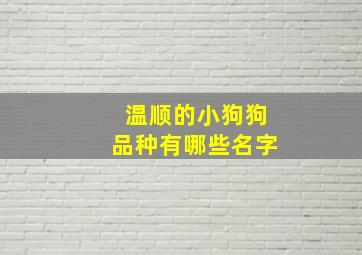 温顺的小狗狗品种有哪些名字