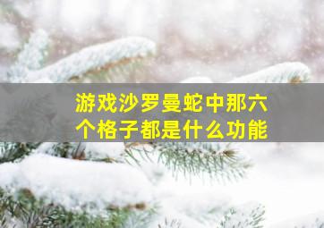 游戏沙罗曼蛇中那六个格子都是什么功能