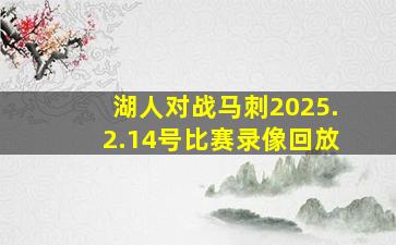 湖人对战马刺2025.2.14号比赛录像回放