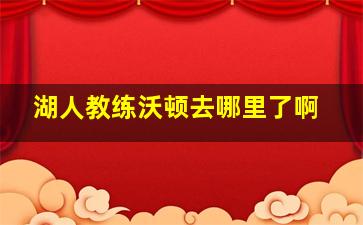 湖人教练沃顿去哪里了啊