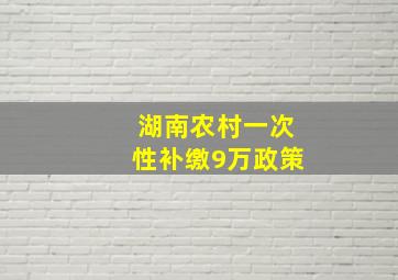 湖南农村一次性补缴9万政策