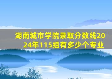 湖南城市学院录取分数线2024年115组有多少个专业