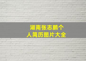 湖南张志鹏个人简历图片大全