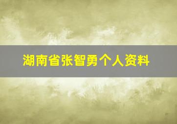 湖南省张智勇个人资料