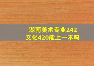 湖南美术专业242文化420能上一本吗