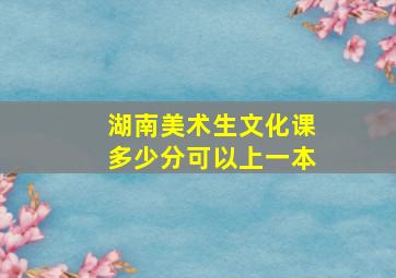 湖南美术生文化课多少分可以上一本