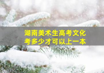 湖南美术生高考文化考多少才可以上一本