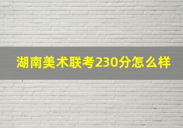 湖南美术联考230分怎么样