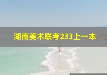 湖南美术联考233上一本